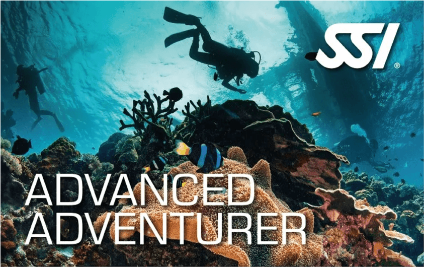 Advanced Adventurer On Board