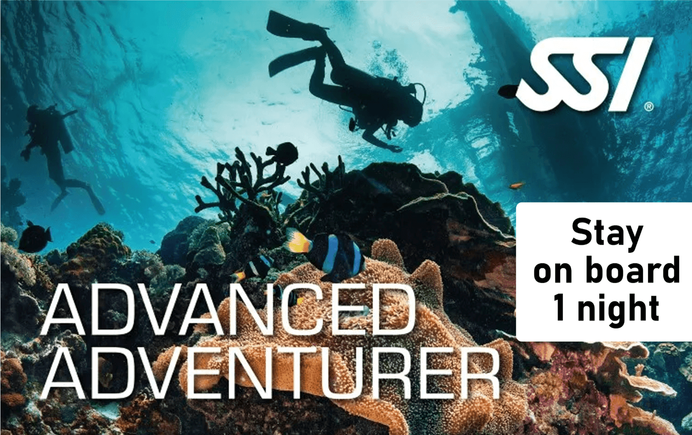 Advanced Adventurer On Board