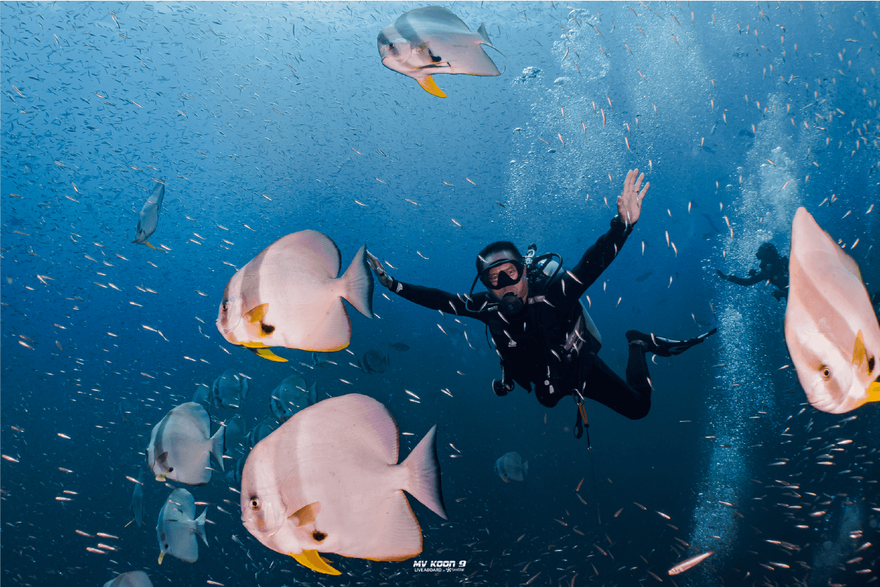 Liveaboard-for-more-that-3-days.png
